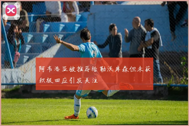 阿韦洛亚被推荐给勒沃库森但未获积极回应引发关注